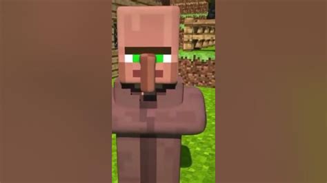 Realistic Villager Asmr Asmrsounds Minecraft Satisfying Animation