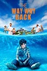 The Way Way Back (2013) - Posters — The Movie Database (TMDB)