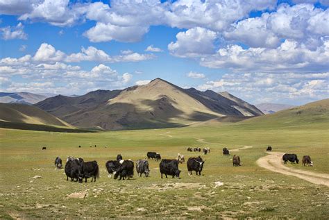 Why Mongolia must be on your 2020 travel bucket list?