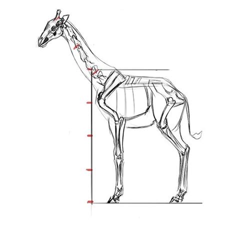 Ces éléments peuvent être dessinés. Comment dessiner une girafe | Girafe dessin, Comment dessiner une girafe, Girafe