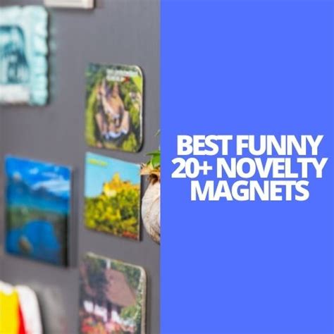 Best Funny 20 Novelty Magnets For Appliances