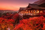 14 Very Best Things To Do In Kyoto, Japan - Hand Luggage Only - Travel ...