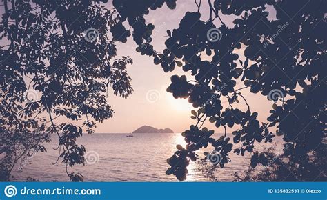 Beautiful Seascape Framing Of Trees Dramatic Colors Stock Image