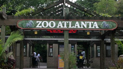 Zoológico De Atlanta Atlanta Reserva De Entradas Y Tours