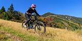 Downhill Mountain Biking Helmets Pictures
