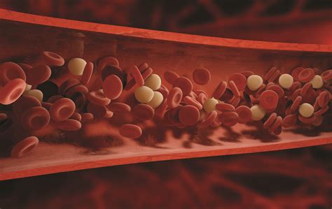 Types Of Bleeding Disorders The Haemophilia Society