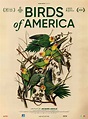 Birds of America, film de 2018