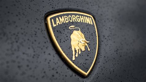 Lamborghini Logo Uhd 4k Wallpaper Pixelz