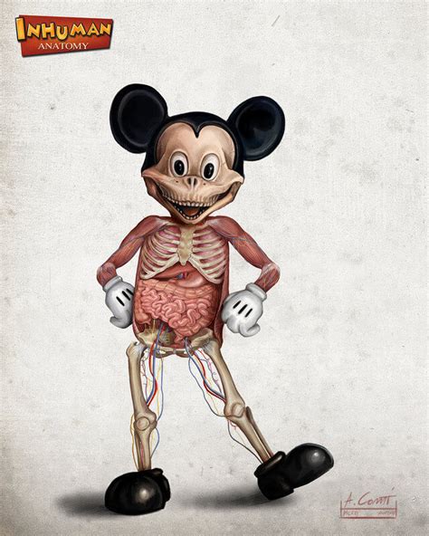 Fun Stuff Disney Characters Anatomy Drawings Midroad Movie Review