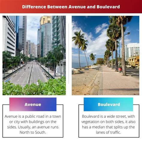 Avenue Vs Boulevard Difference And Comparison