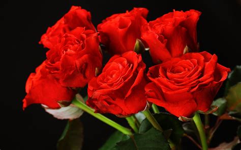 Fond D écran 3840x2400 Px Bouquet Des Couples émotions Fleur Filles Content Amour Les