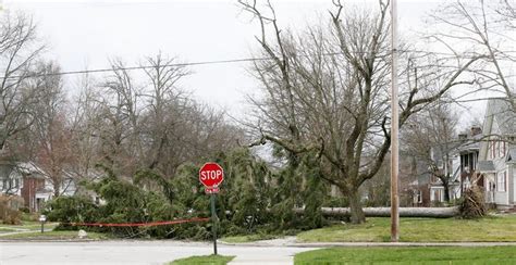 strong winds down trees knock power out to tens of thousands in area