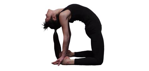 Share More Than 130 Ustrasana Counter Pose Latest Vn
