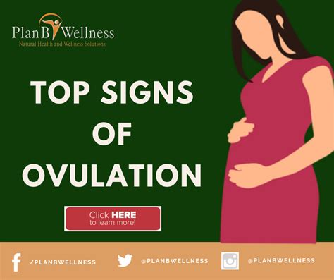 Signs Of Ovulation And The Secrets Of Fertility Charting Health Nigeria