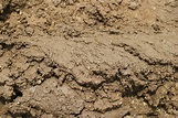 Free photo: Mud - Dirt, Footprints, Rain - Free Download - Jooinn