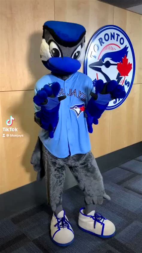 Toronto Blue Jays Ace Mascot Costume