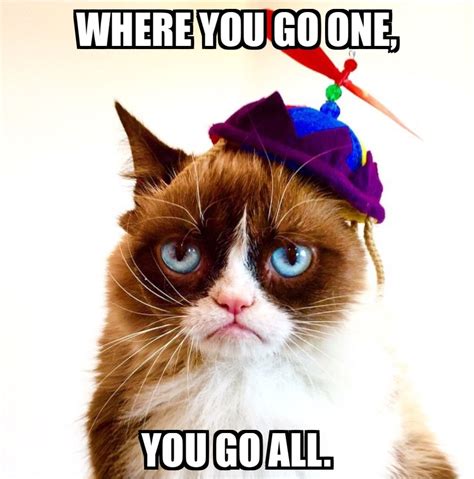Grumpy Cat Quotes Funny Grumpy Cat Memes Funny Cats Funny Animals