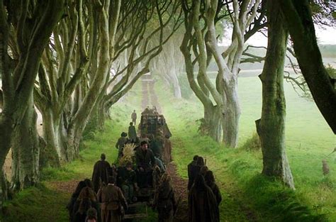 Game Of Thrones Dark Hedges Giants Causeway Experiences