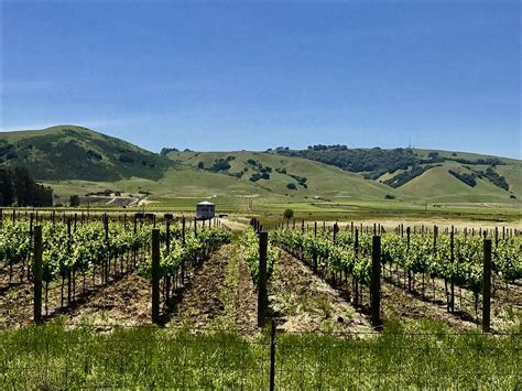 Sonoma Valley All You Need To Know Before You Go With Photos