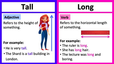 Tall Vs Long What S The Difference Learn With Examples Youtube