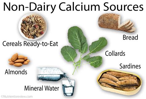 Pick your favorites and cook up a storm. Calcium Rich Non/Dairy Food Sources, Deficiency ...