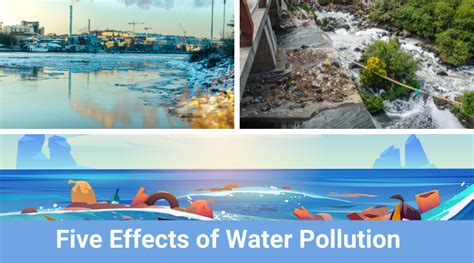 Harmful Effects Of Water Pollution