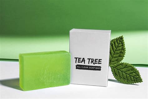 8 Exquisite Benefits Of Tea Tree Oil Soap For Skin And Hair