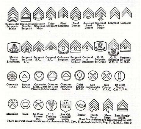 Ww1 Enlisted Rank Structure Army Including Usaacaaf Us