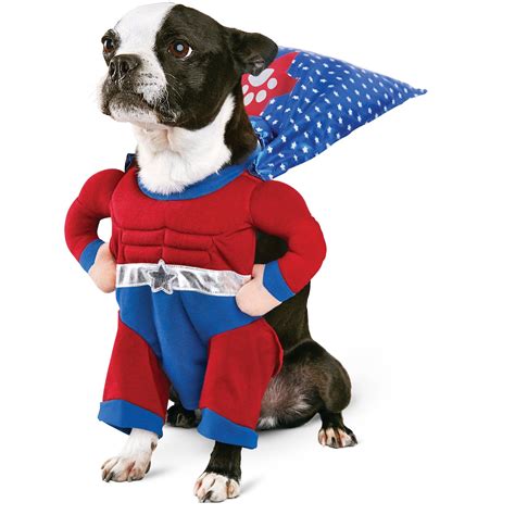 A Super Cute Super Hero Costume For Dogs And Cats This Would Be A