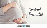 Embarazo: Conocé la importancia de los controles prenatales ...