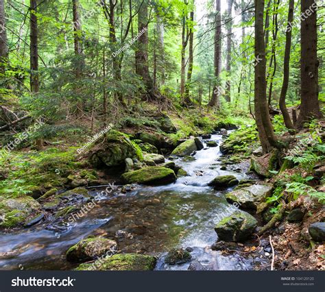Cascades On Clear Creek Forrest Stock Photo 104120120 Shutterstock
