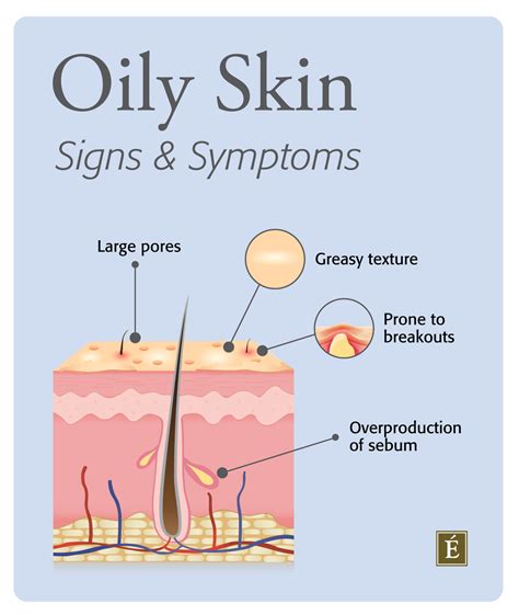 Ultimate Guide For Oily Skin Everything You Need To Know Approx Cosmetics