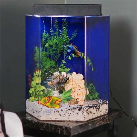 Clear For Life Hexagon Aquarium Fish Tank Aquariums At Hayneedle