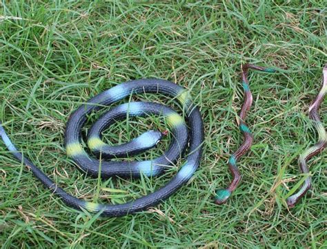 Tin Toys Simulation Snake Snake Cobra Snake Soft Fake Snake Model