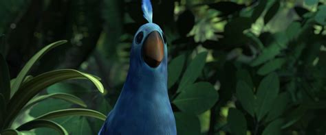 Bird Alarm Pixar Wiki Fandom Powered By Wikia