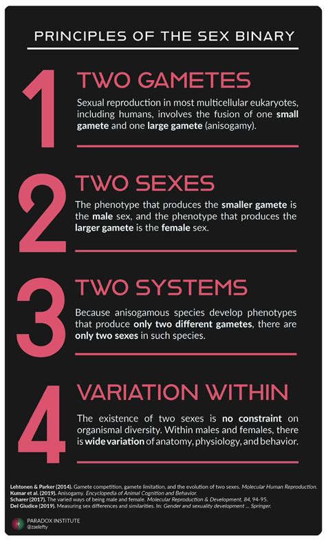 The Four Principles Of Why Sex Is Binary Dangerous Intersection