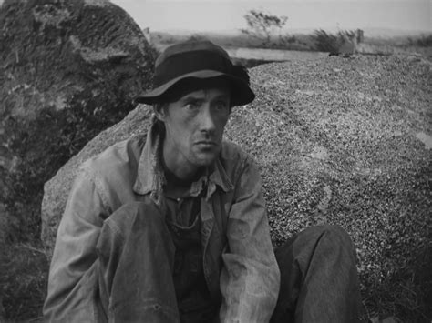 The Grapes Of Wrath 1940 John Ford John Ford Grapes Of Wrath