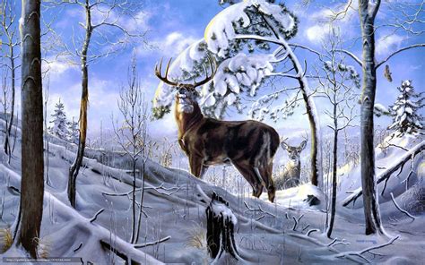 38 Winter Deer Wallpapers Backgrounds Wallpapersafari