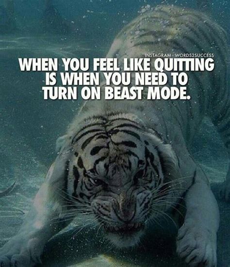 When You Feel Like Quitting Is When You Need To Turn On Beast Mode