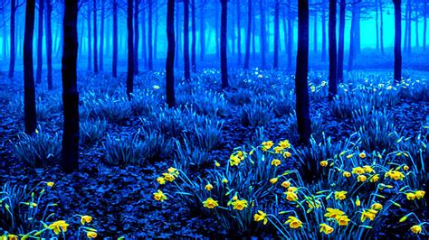 Beautiful Blue Nature Wallpaper Exclusively Rare By Rogue Rattlesnake