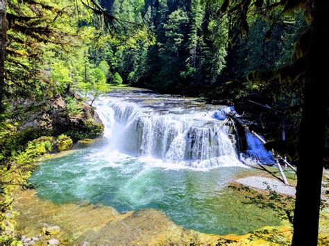 Lower Lewis River Falls In The Ford Pinchot National Forest Washington