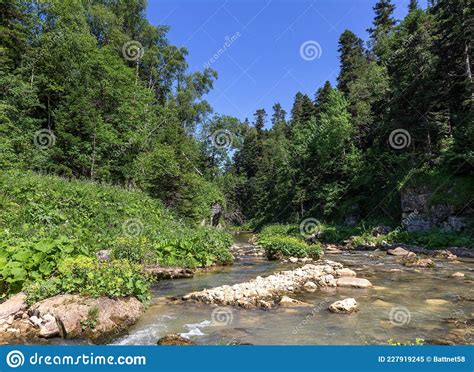 Mountain Rivers Sources Of Environmentally Friendly Resources Of Water