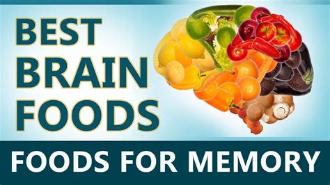 1 Brain Foods Foods That Helps Increase Your Memory Brain Foods