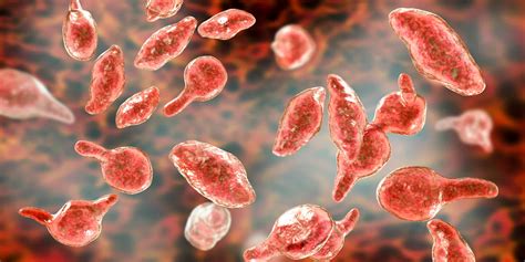 What Is Mycoplasma Genitalium A Common Sti You Ve Probably Never Heard Of