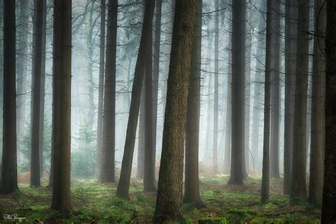 How To Improve Your Fog Photography 10 Easy Tips Fog Photography