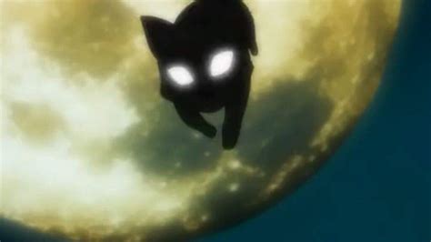 Black Cat Anime Amino