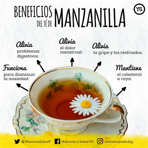 Beneficios Del Te De Manzanilla Beneficios Y Propiedades Del Te De