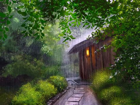 1080p descarga gratis día lluvioso bosque cabaña día bonito lluvia árboles fondo de