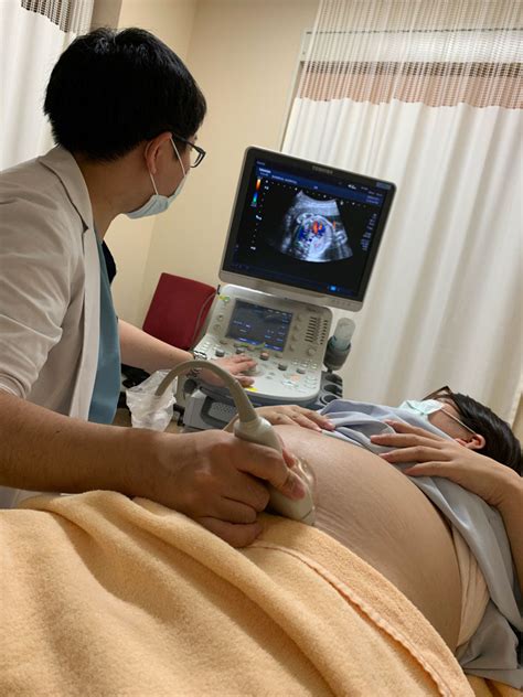 産婦人科の画像診断 人気アイテム 720vn