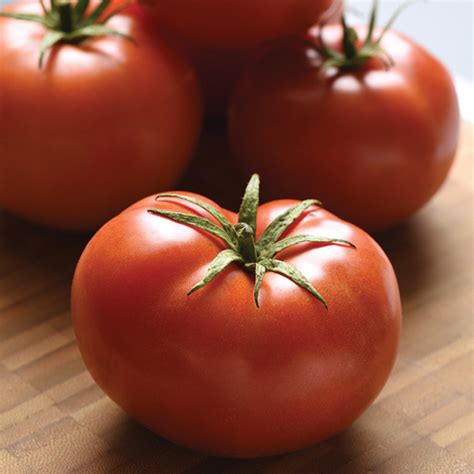 Loki Hybrid Tomato Medium Large Tomato Seeds Totally Tomatoes
